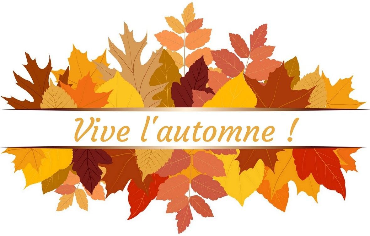 image 1025749 20240923 ob c9ece0 1411209769 fut