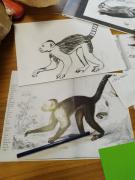 atelier-2